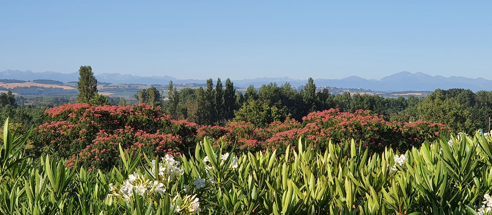 L'Escale Occitane, campsite near Carcassonne with a magnificent view of the Pyrenees.