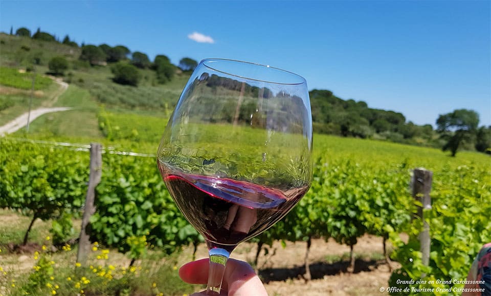 Le camping L’Escale Occitane dans l'Aude, d’une surface de 3 hectares, est situé au milieu des vignes, où est issu notre vin