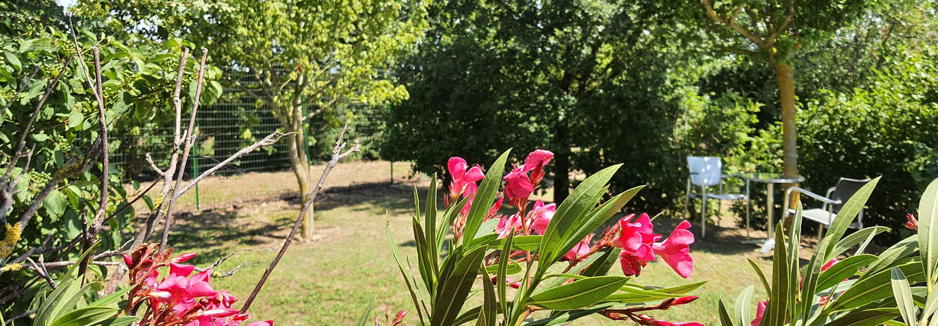 Camping L'Escale Occitane in de buurt van het Canal du Midi, label fietsvriendelijk